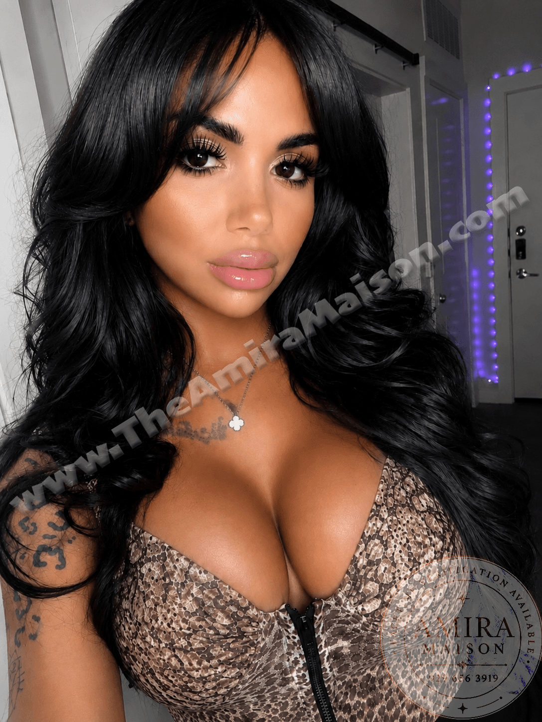 Amira Maison gallery photo 3
